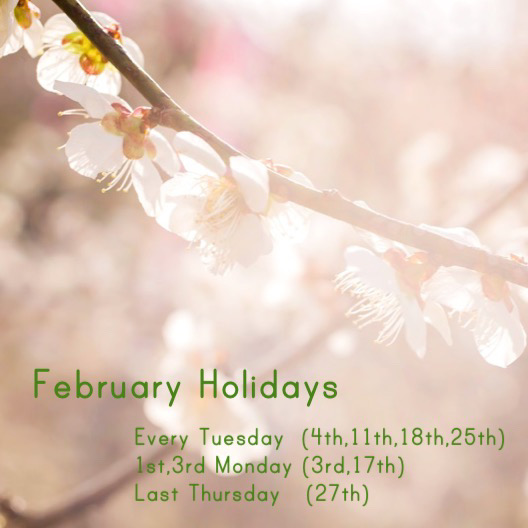 February Holidays